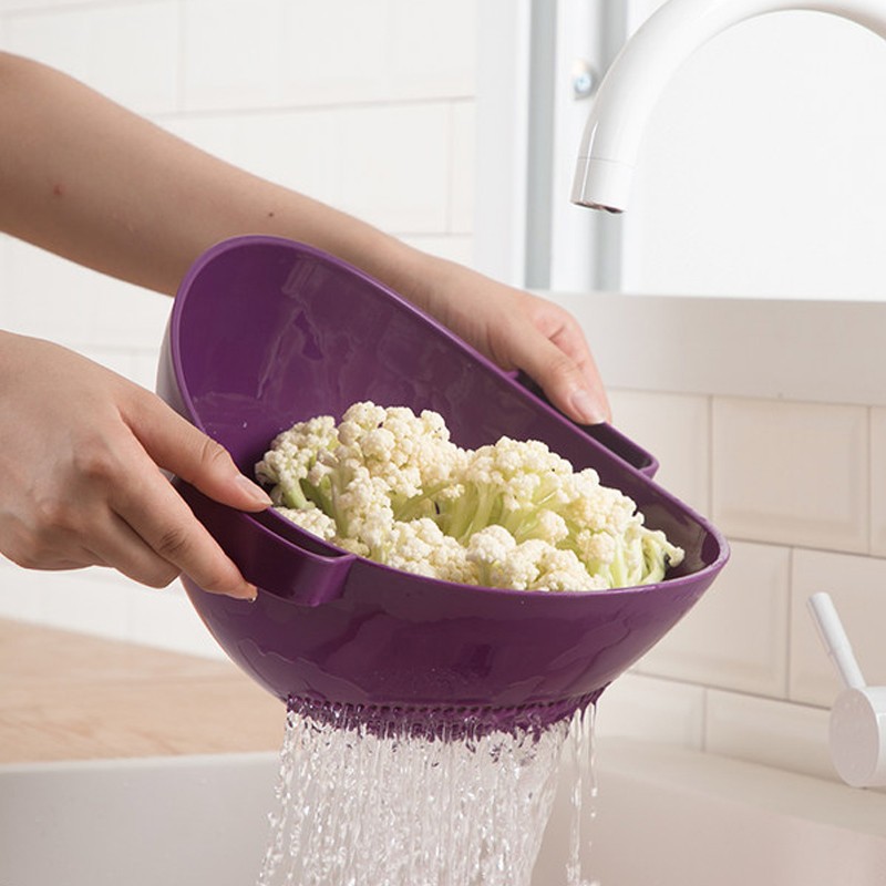 茶花 双立筛  紫色  