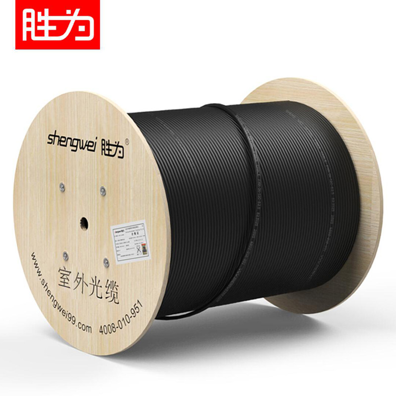 胜为 SHENGWEI FSM-OPH-02C-9 皮线光纤室外网线单模双芯自承式蝶形光缆 100米 黑色  随机  