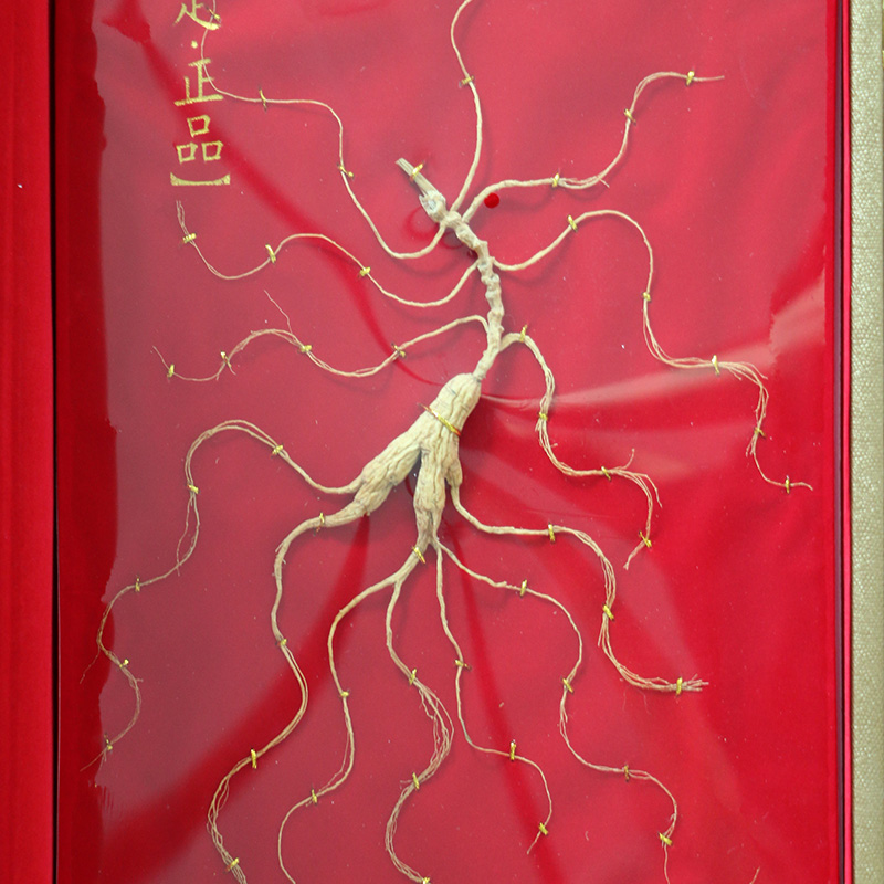 【大隐之选】长白山 野山参礼盒 8g*1棵 自然色