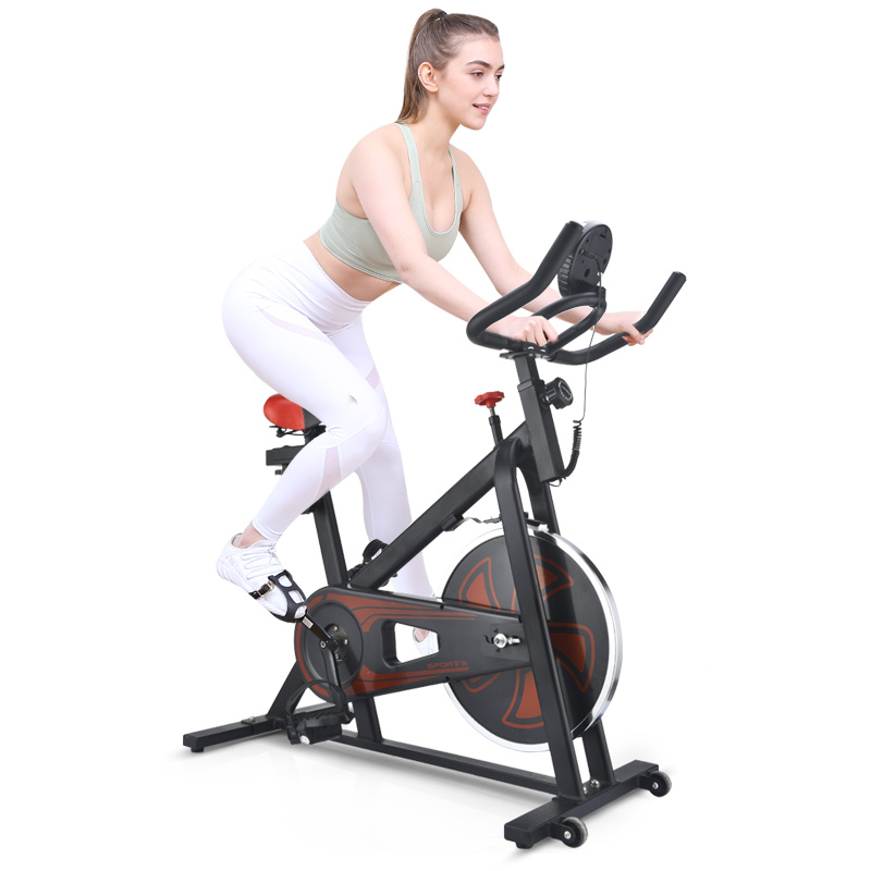 HTASK宏太家用磁控静音健身单车动感单车  黑色  