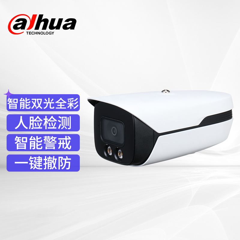 大华Dahua监控摄像头DH-IPC-HFW4243M1-YL-PV-AS  混色  