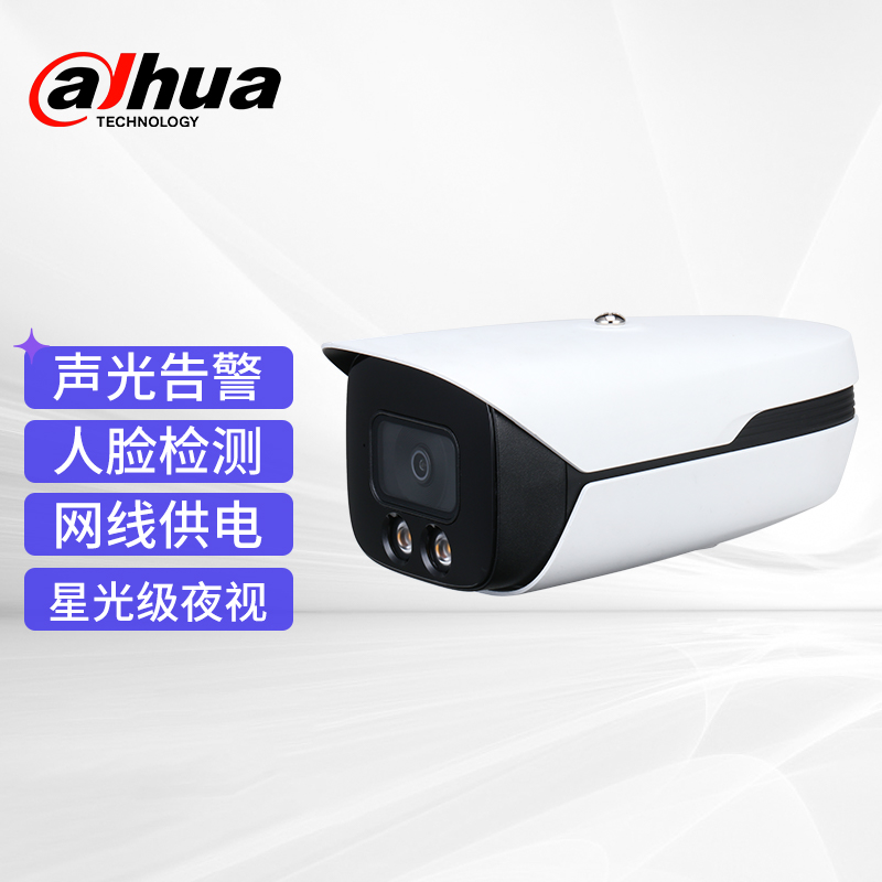 大华Dahua监控摄像头DH-IPC-HFW4443M1-YL-PV-AS  混色  