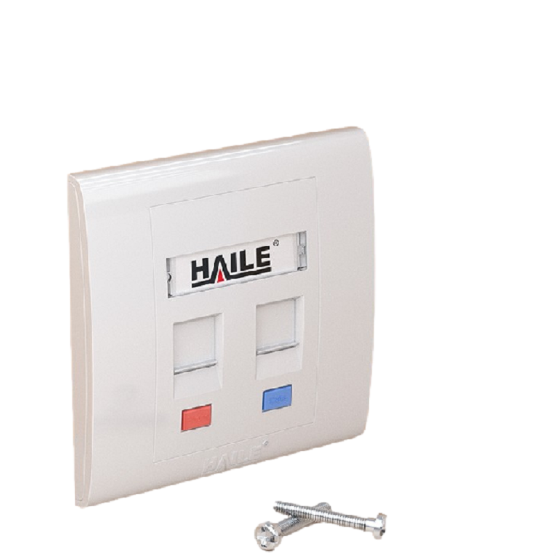 海乐（Haile）86型双口网络信息面板/网线插座/电脑插座/网络信息插座 白色HT-8602 十个装  白色  