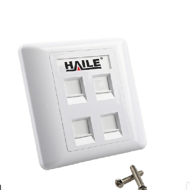 海乐（Haile）86型四口网络信息面板/网线插座/电脑插座/网络信息插座 白色HT-8604 十个装  白色  