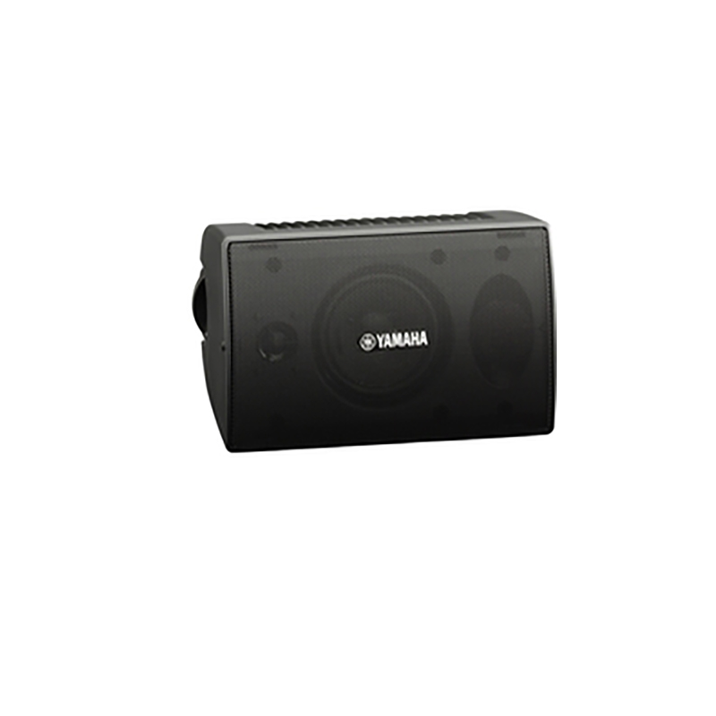 雅马哈（YAMAHA）壁挂音箱会议室音响全天候系列 NS-AW194  黑色  
