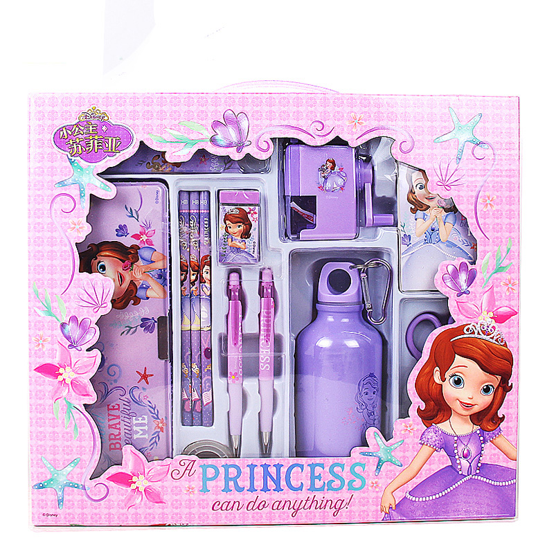迪士尼(Disney)文具套装13件套 小学生水杯文具礼盒 儿童开学文具礼包 生日礼物奖品 冰雪奇缘系列  粉色  