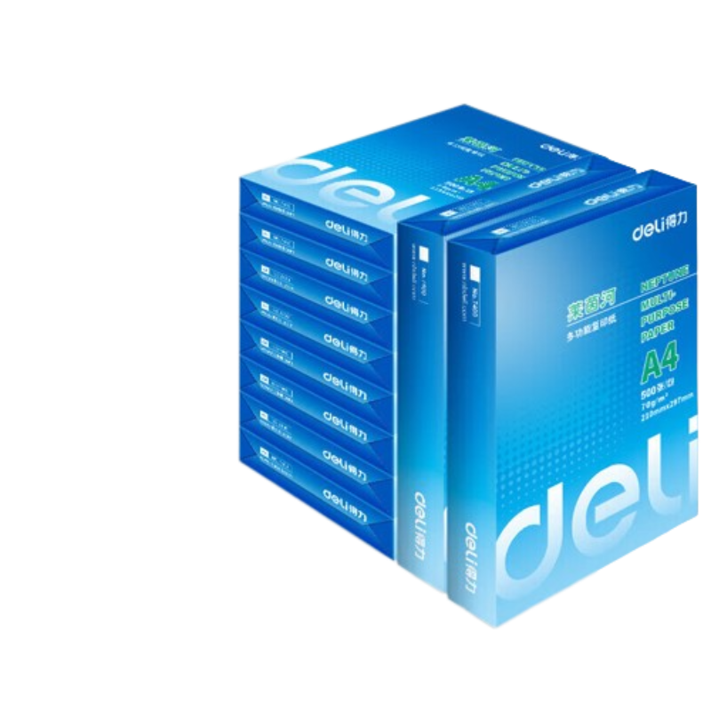 得力(deli)莱茵河7402 A4打印纸 70g克 口碑优选复印纸 双面草稿纸 整箱4000张 500张*8包一箱 白色