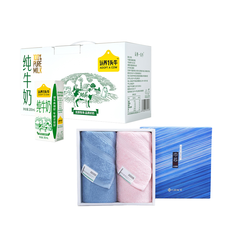 节日慰问+南方电网+100元组合1 颜色随机