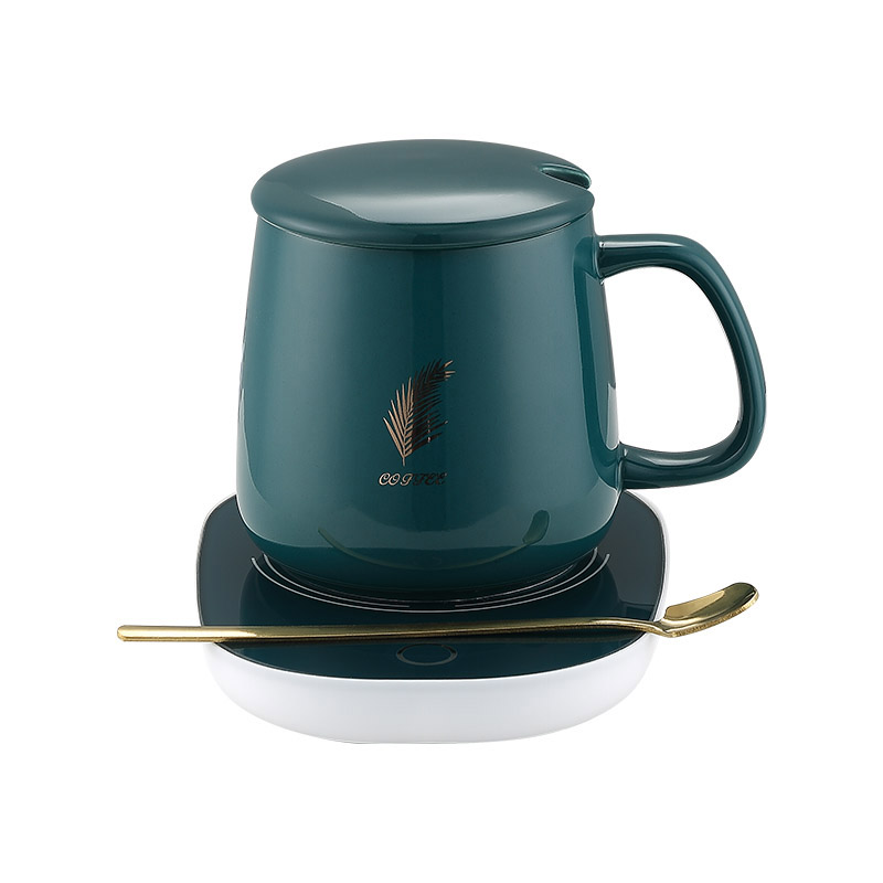 艾青春（AIYOUTH）55℃恒温暖暖杯PA-666（台） 墨绿色