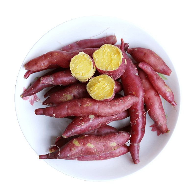 蒙乐果精选天目山小香薯5斤装 特大果 单果约200g（单位：箱）  