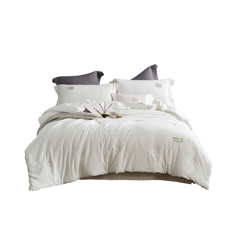 艾逸瑶选 JF-24141 卡莉娜抗菌亲肤冬被 200*230cm（单位：床） 白色