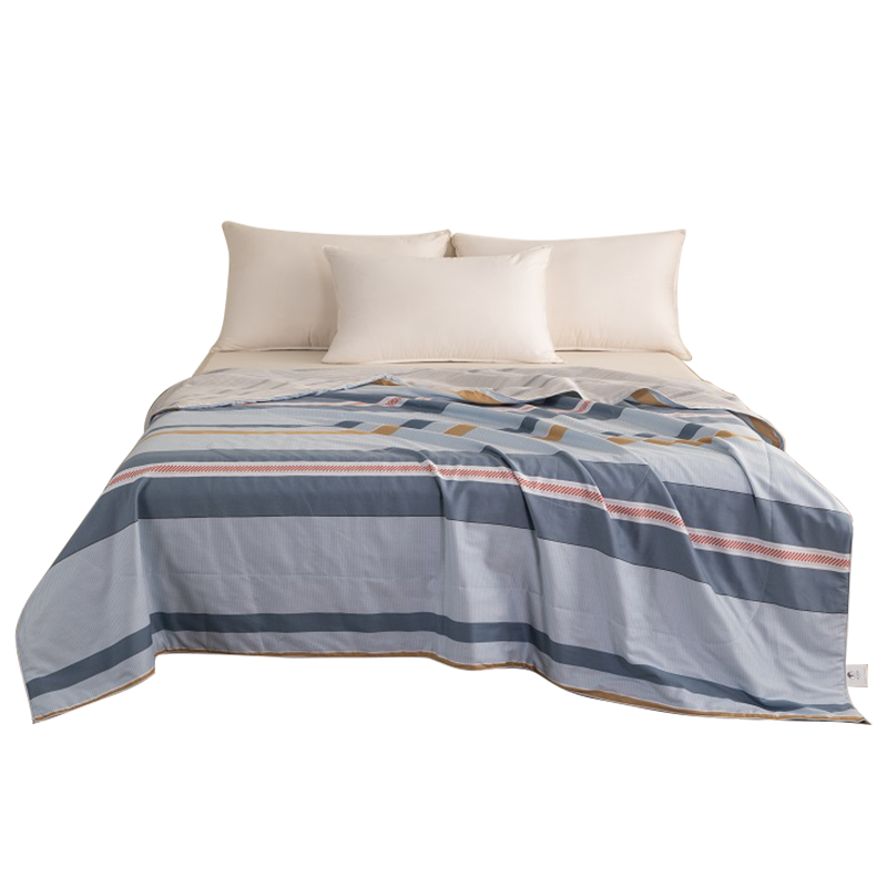 蚕花娘娘100%蚕丝夏凉被全棉空调被200*230cm（单位：床） 清夏 200*230