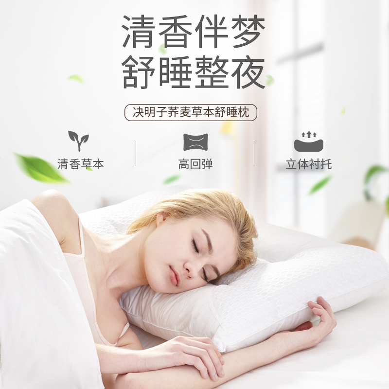 睡眠博士决明子枕头成人单人双人荞麦枕助睡眠护颈椎枕枕芯家用 本白色