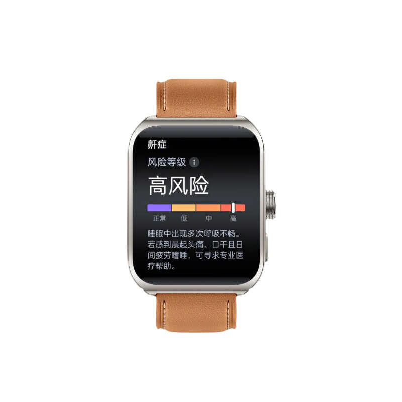 OPPO Watch 4 Pro 破晓棕 台 破晓棕 （内含2条表带）