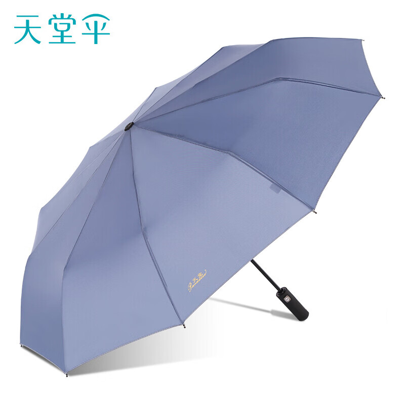 天堂 30729ELST 10骨 一键开收全自动伞  兰灰（单位：把）