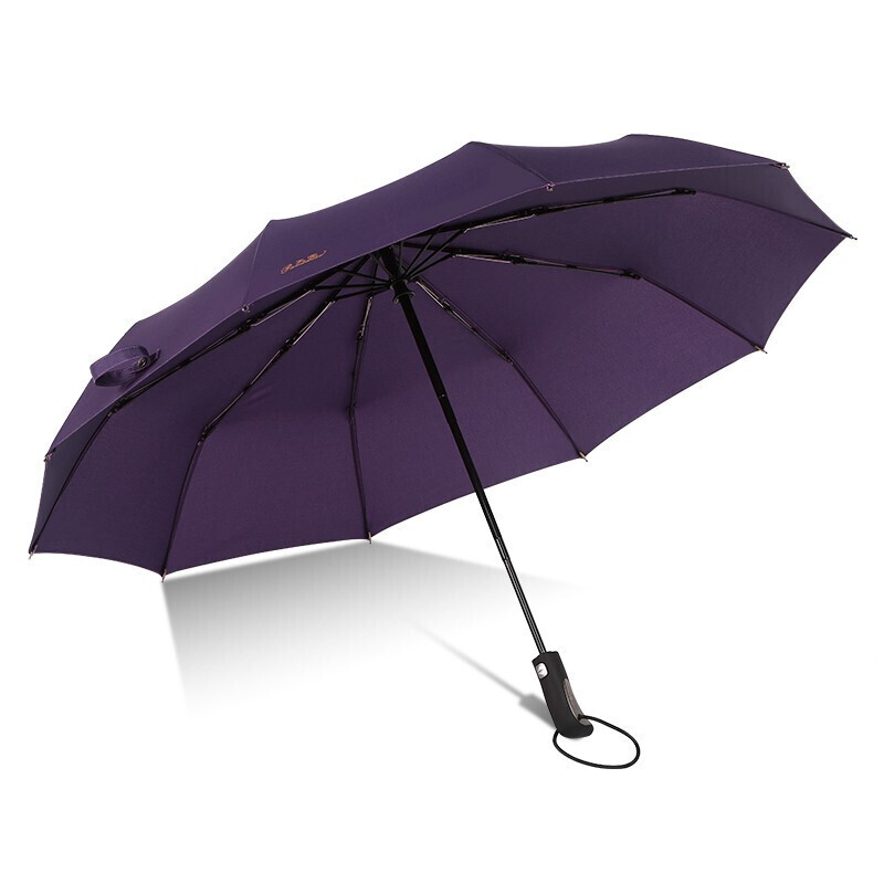 天堂伞【30729ELST】10骨全自动雨伞-/把 紫兰