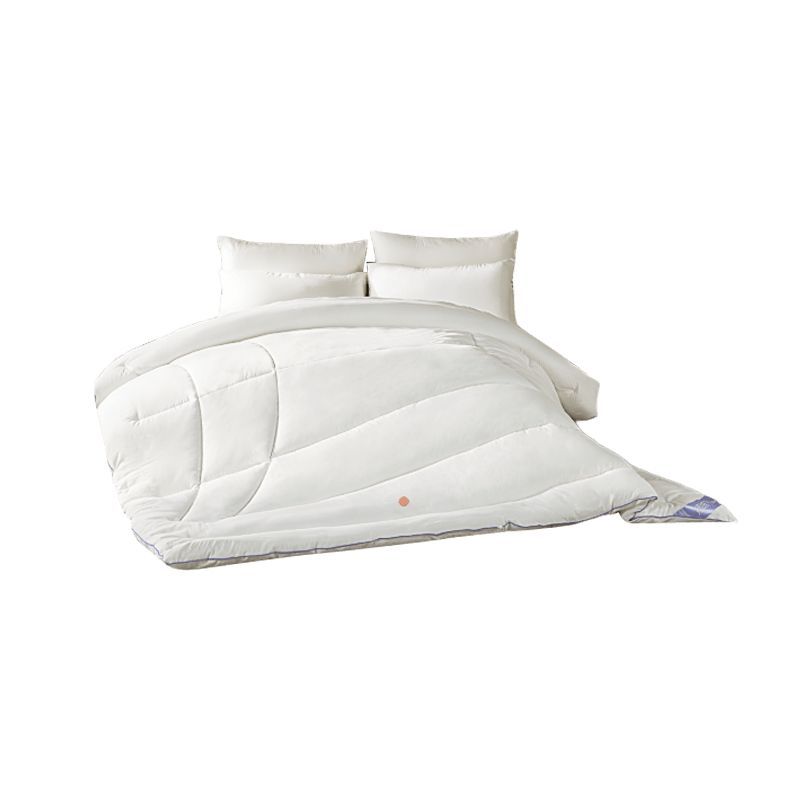 8H 进口德绒超保暖抗菌防螨被（单位：条） 220*240cm白色