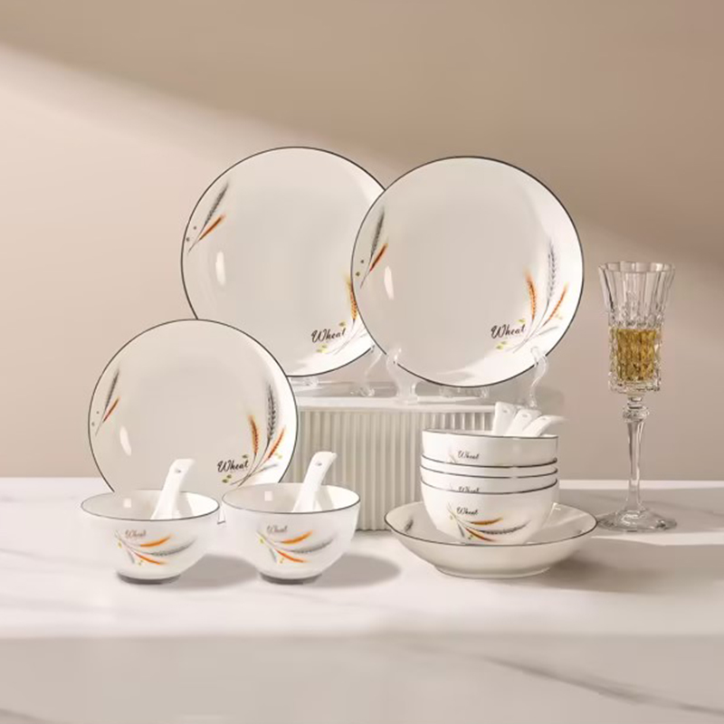 德世朗（DESLON） 家庭陶瓷餐具套装16件套 DFS-TZ881C  （单位：套） 白色