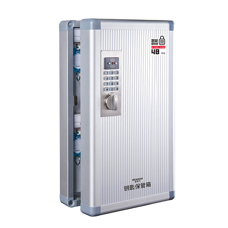 金隆兴Glosen 48位壁挂式密码锁铝合金钥匙收纳管理箱 含钥匙牌AM9048(单位:个) 银色