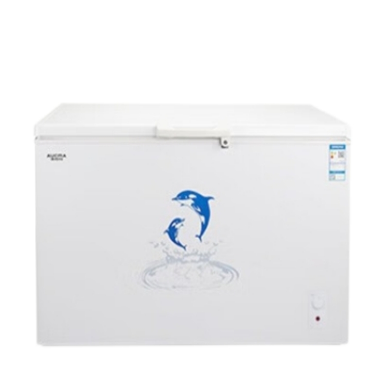 澳柯玛（AUCMA）冰柜325升小冷柜 冷藏冷冻单温转换一级能效 BC/BD-325NA（单位：台） 白色