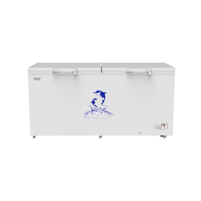 澳柯玛（AUCMA）冰柜商用大容量全冷冻卧式大冷柜 BC/BD-625AYYS（单位：台） 白色