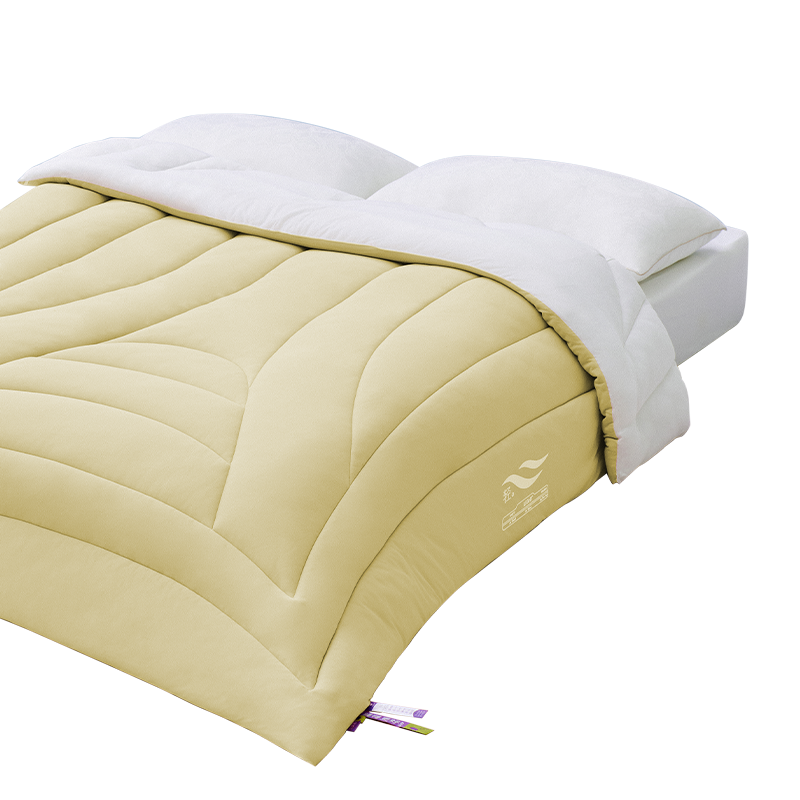 艾美家 轻暖云朵加厚被 150*200cm 约2900g 红/黄/紫 下单备注颜色 (单位：条) 随机