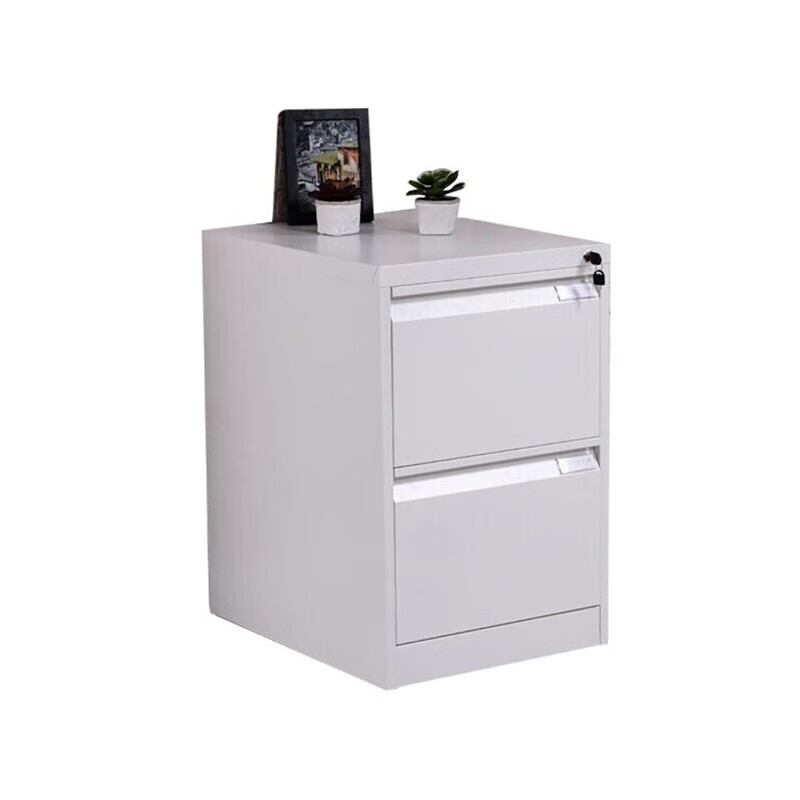 荣美盛 文件柜矮柜储物柜二斗卡箱带锁抽屉/个 455*620*730mm