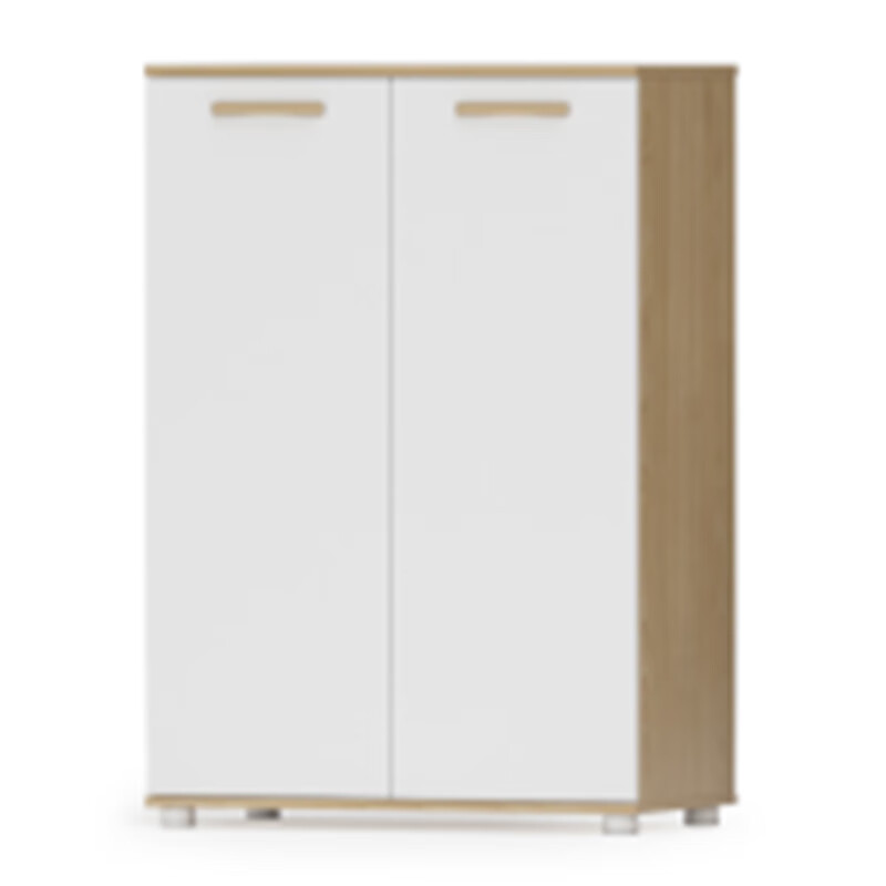 荣美盛简约文件柜 个 800*400*1200