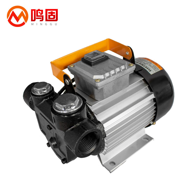 鸣固柴油泵ACTP60 电压抽油泵电动加油泵直流吸油泵1寸60L柴油泵220v（单位：台） 不锈钢色