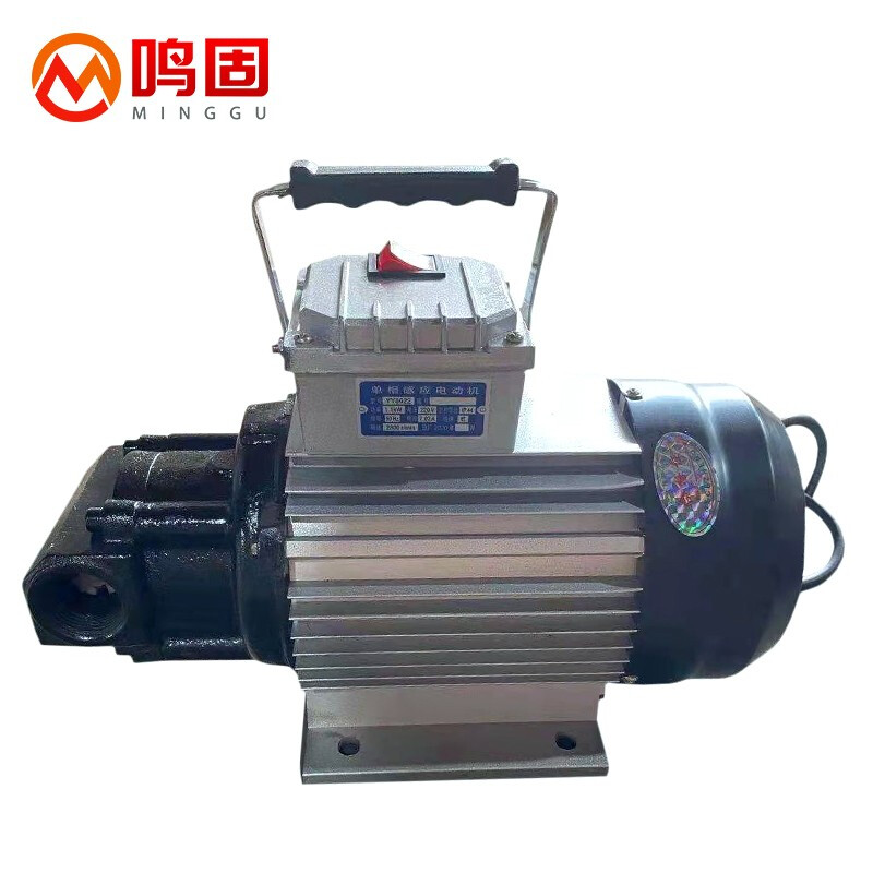 鸣固 电动抽油泵大流量220V自吸泵油泵机油泵加油机抽油器齿轮机油泵 65L（单位：台） 不锈钢色