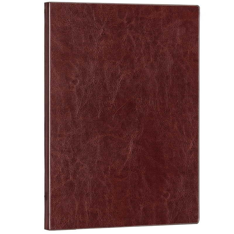 得力(deli)加厚商务皮面本办公用品新年礼物会议记事本日记本笔记本子文具3185 本 多色