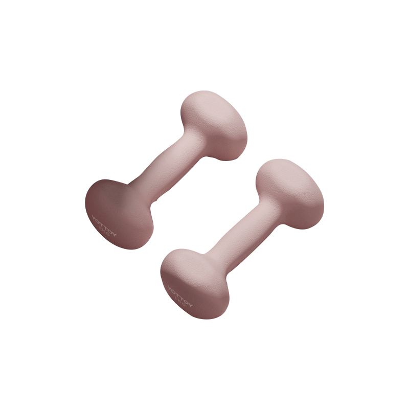 YOTTOY 浸塑哑铃男士女士健身家用肌肉塑形实心小哑铃力量训练器材-女士哑铃 (2*1kg) 件 粉色