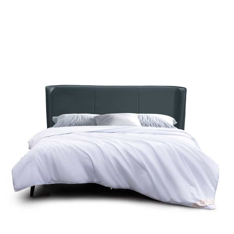 水星家纺	莘德拉蚕丝四季被200*230（单位：床） 莘德拉蚕丝四季被200*230