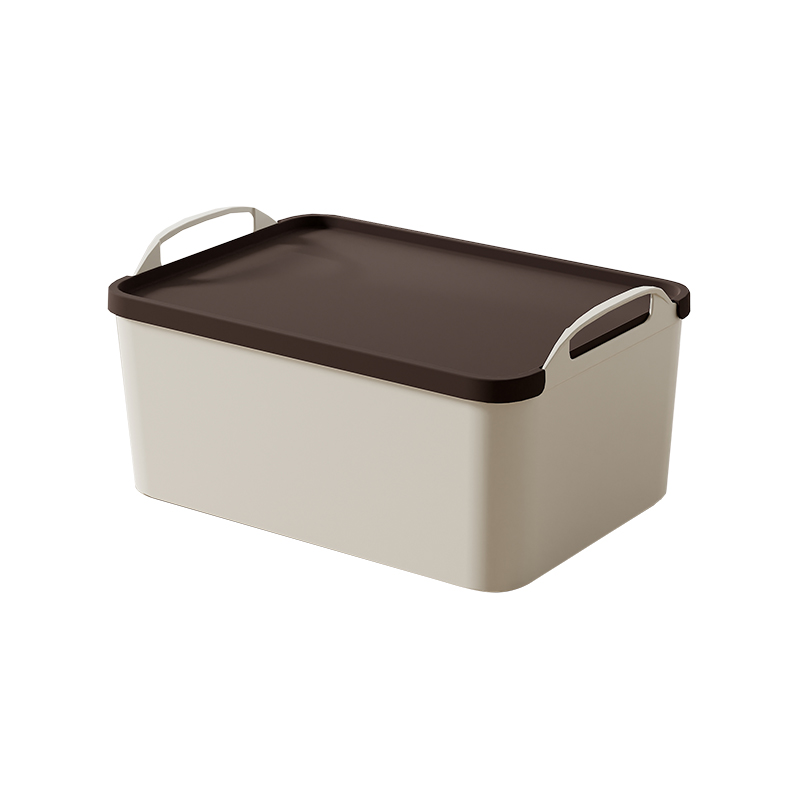 孙小美S0452手提收纳箱（浅）-大号*2/个 S0452-2