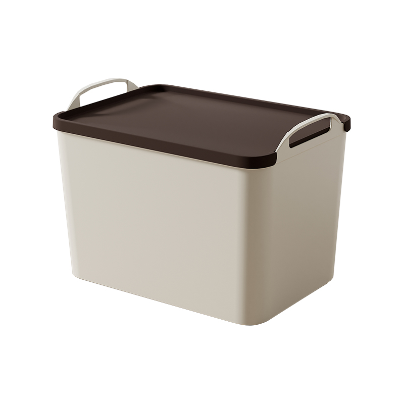 孙小美S0453手提收纳箱（深）-大号*2个 S0453-2