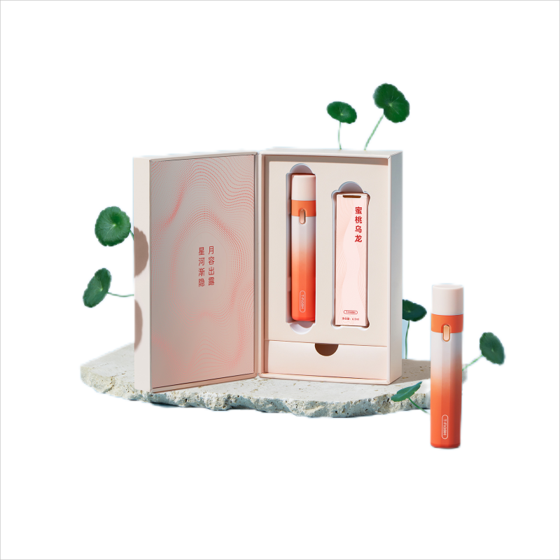 同诗电子口腔喷雾仪K1（单位：个） 蜜桃粉