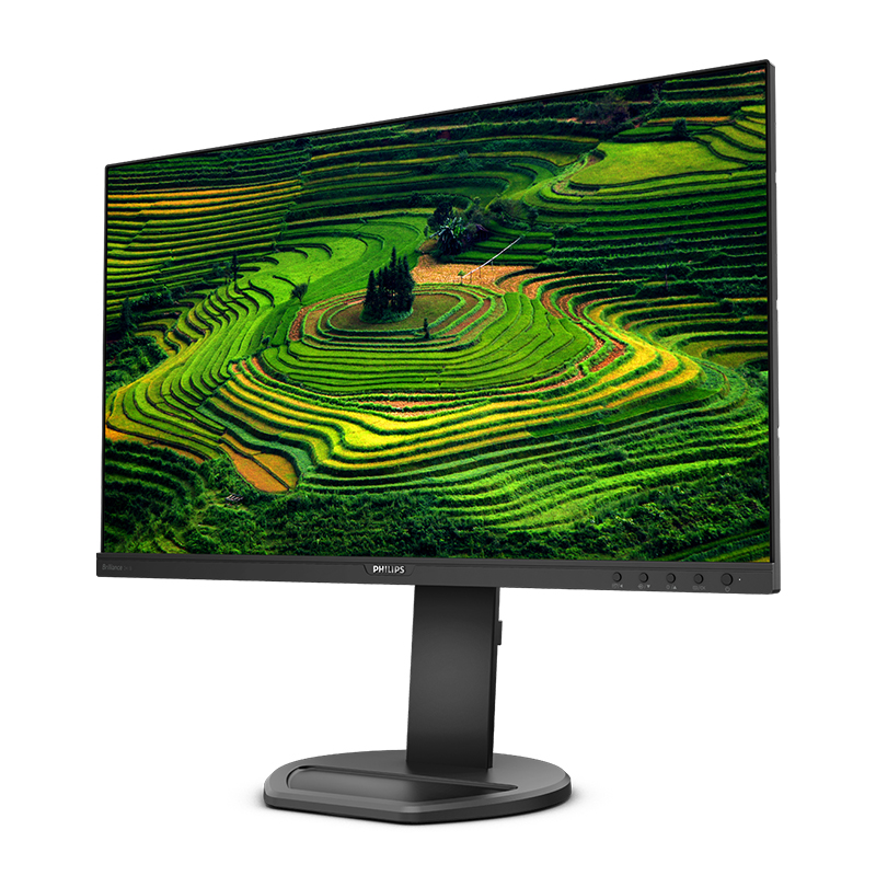 飞利浦（PHILIPS）23.8英寸 办公显示器 IPS高清 103.8%sRGB内置音响低蓝光 台 黑色