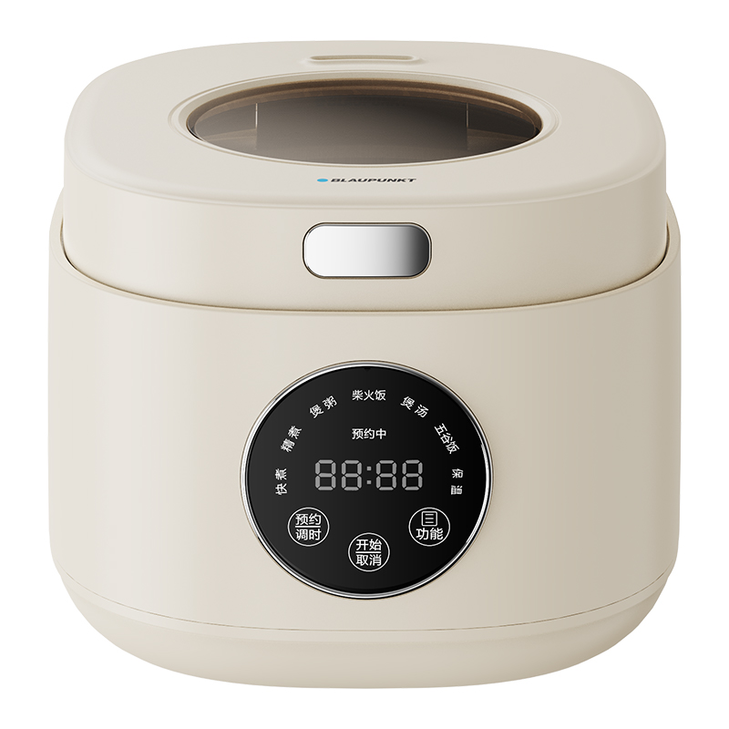 蓝宝电饭煲BP-FBH2（单位：台） 白色