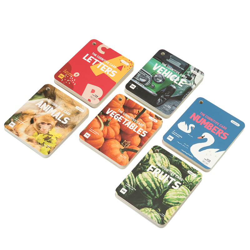 贝恩施宝宝认知卡儿童早教启蒙书婴幼儿看图识字（单位：套） ZJ51