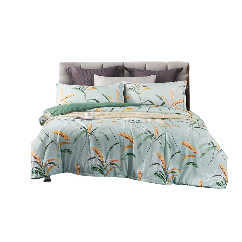 艾逸瑶选韦伯亲肤磨毛四件套JF-24118（单位：套） 绿色