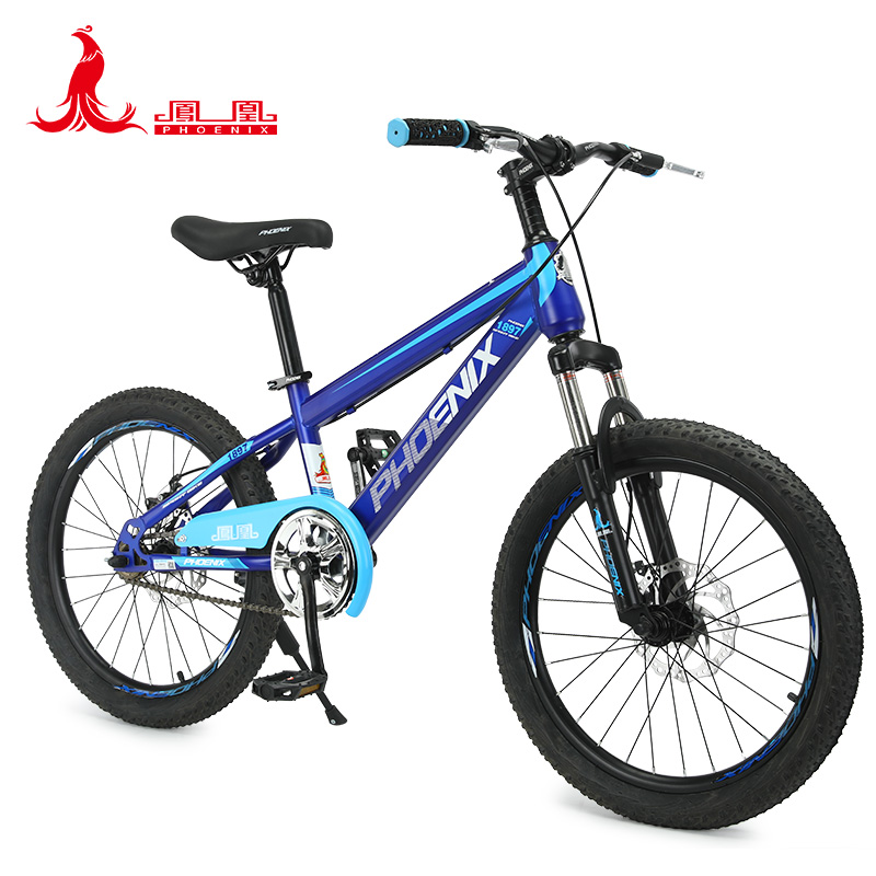 凤凰20寸学生自行车-贝塔TT-20 （辐条轮）（单位：辆） 蓝色