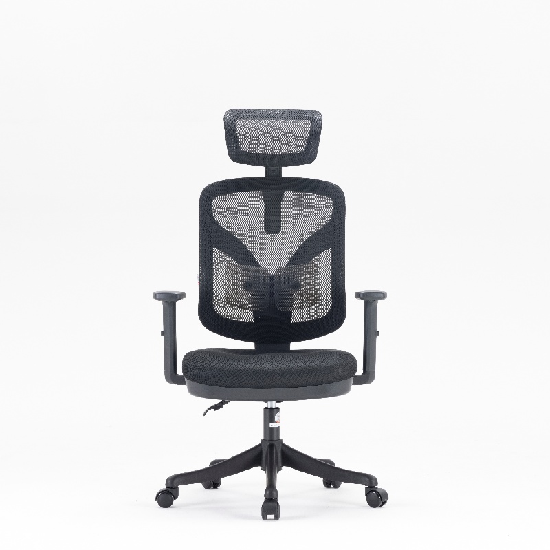 西昊M56 人体工学椅家用办公椅电竞椅子电脑椅久坐人工力学座椅学习椅单位：张 黑色