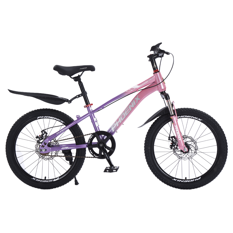 凤凰20寸单速山地自行车-星际（辐条轮）（单位：辆） 粉紫色