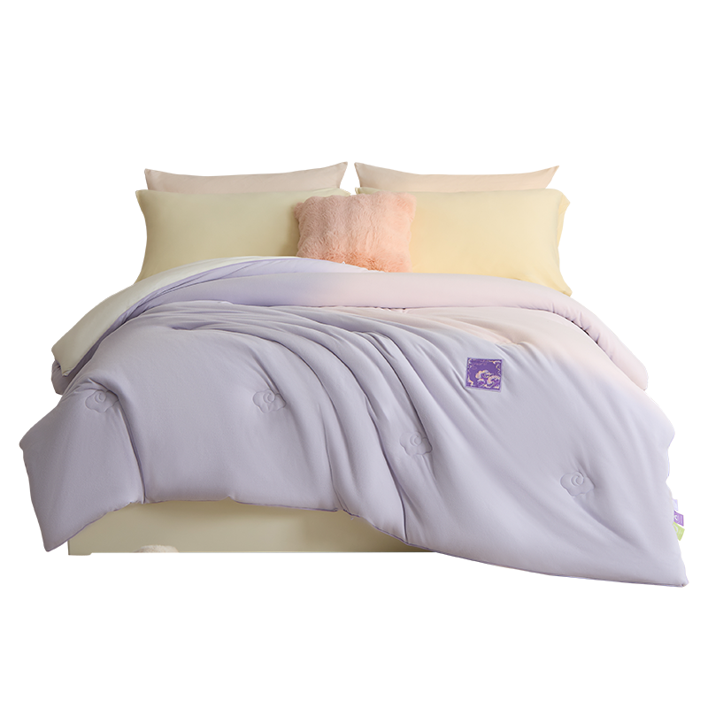 唯我暖阳绒智暖被（总重5斤）单位：条 霞光紫 220*240cm