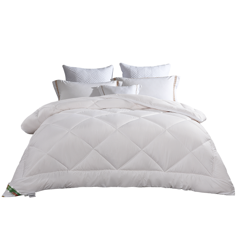 卡撒天娇（CASABLANCA）家纺 经典舒适大豆冬被（单位/床） 本白色 203*225cm