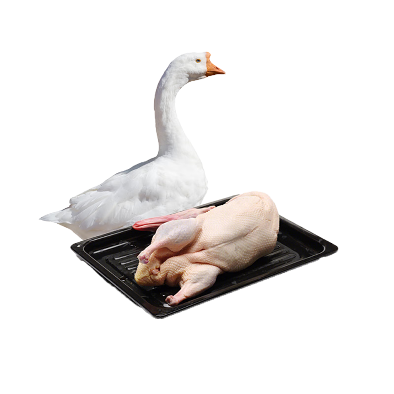 七里浮子绥滨大白鹅（冷冻白条鹅）2500g-3000g（单位：只） 粉白色