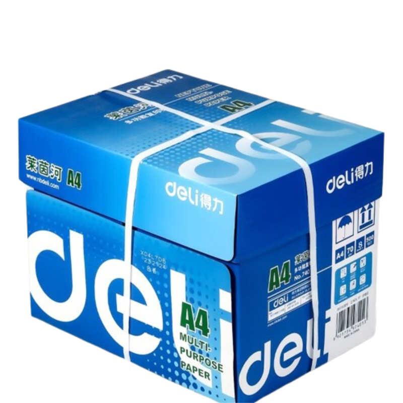 得力(deli) 7419 整箱2500张  80g500张*5包一箱 莱茵河A4打印纸  白色（单位：箱）