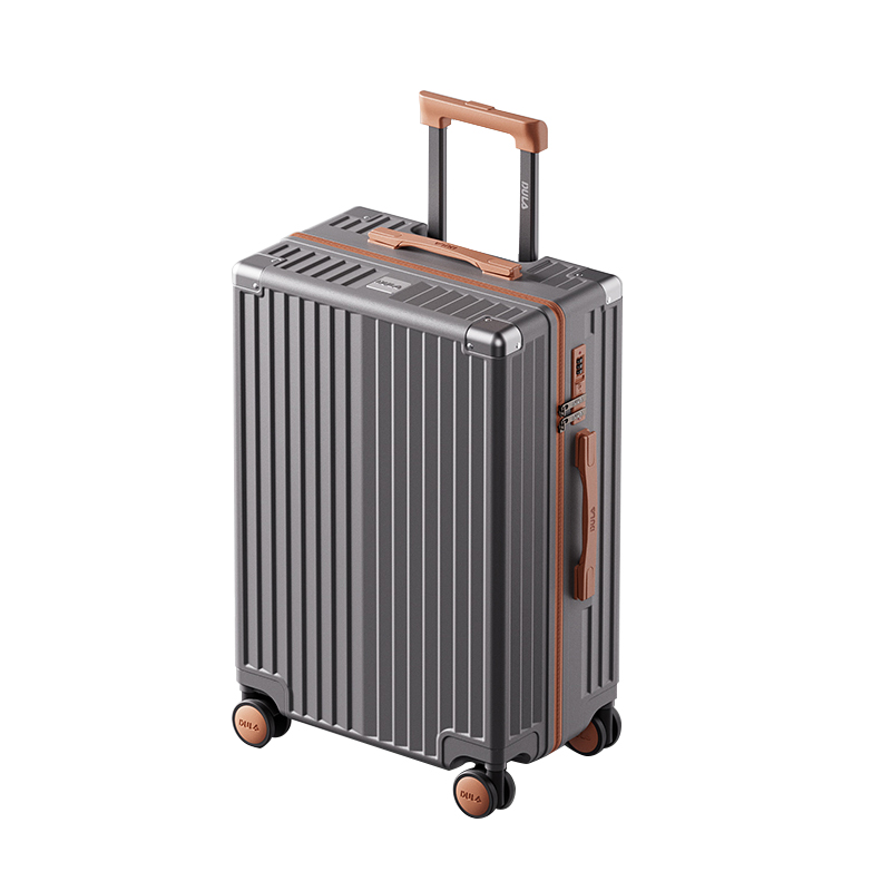DULA DP2091 商务系列 拉链款行李箱 24寸 飒灰棕（单位：个）