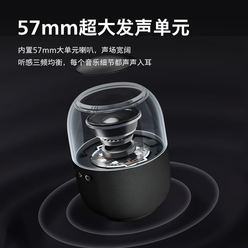 飞利浦（PHILIPS） S2108 490g 家用小音箱 曜石黑（单位：台）