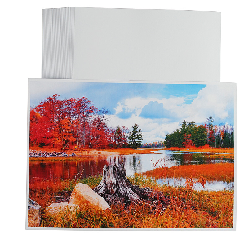 新绿天章 P1272 A4 180G 50页/包 双面喷墨高光铜版相片 白色（单位：包）